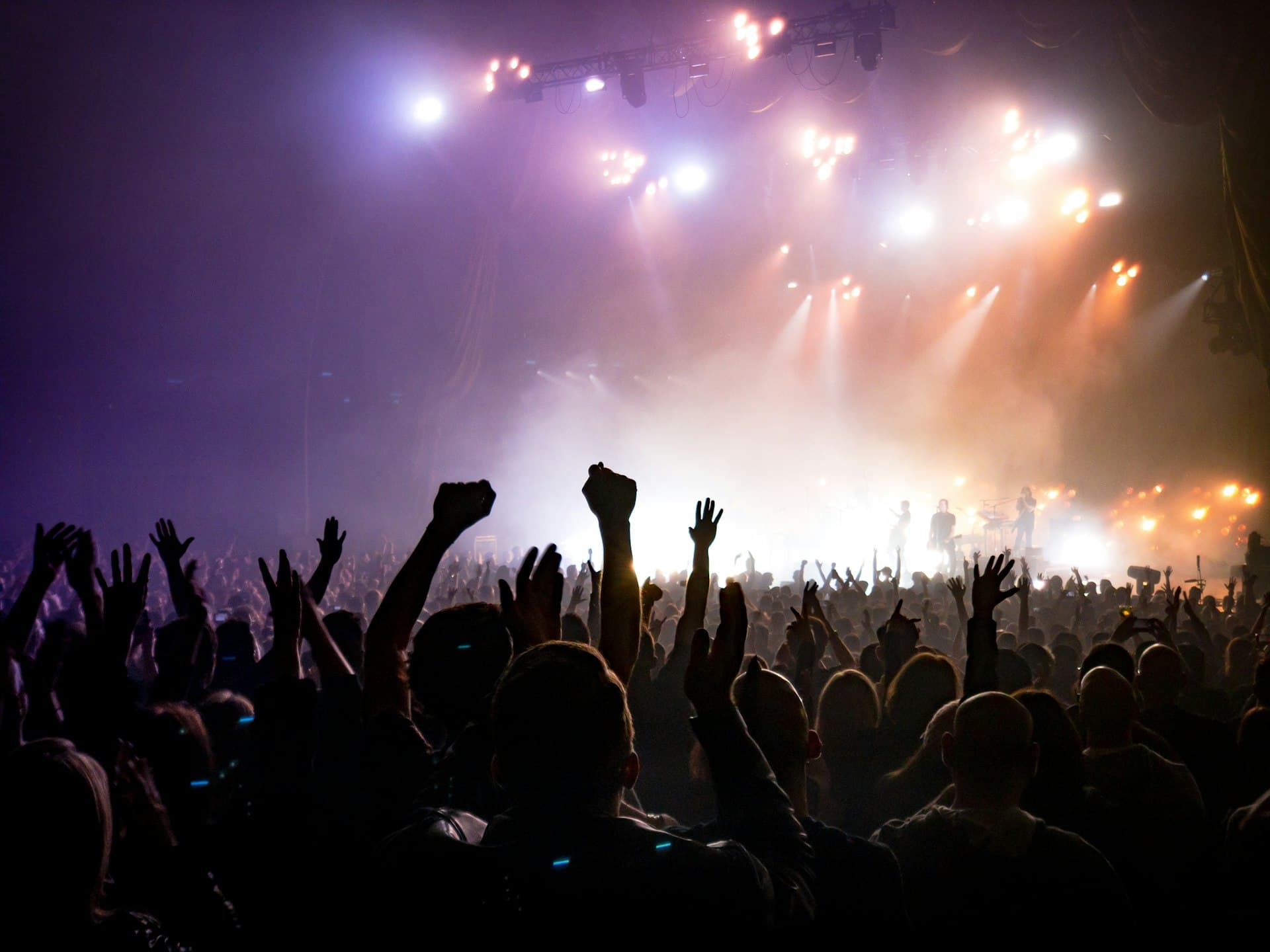 Live concert experience
